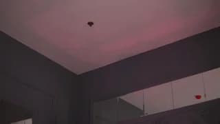 BrattyScarlet - stripchat