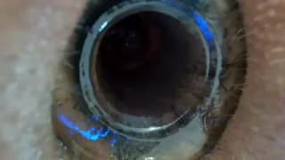 LadyOxana - stripchat