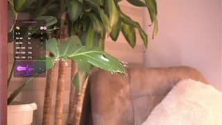 _Andyy__ - stripchat