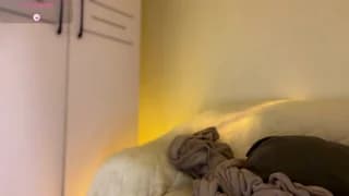 _cumonu69_ - stripchat