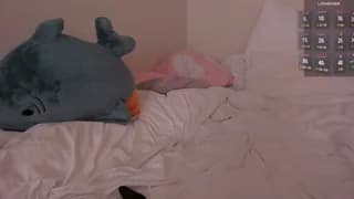 _eva__pleasure_ - stripchat