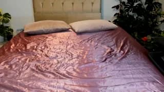 bella_grego - stripchat