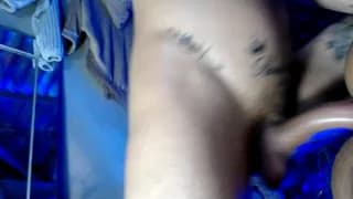 multicolor_2024 - cam4