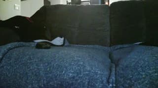 notmyfrogbro - cam4