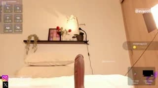 starcollenss - stripchat