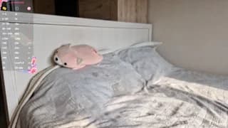 stellafalt - chaturbate