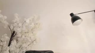 sweetsalice__ - chaturbate