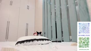 vivianmiller_ - chaturbate